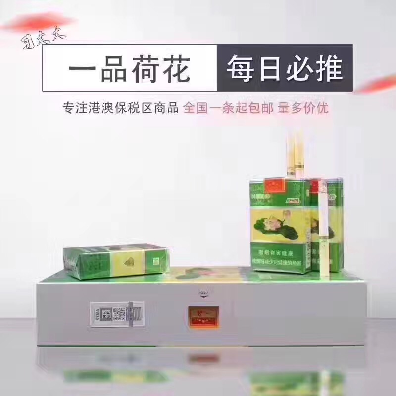 一品荷花