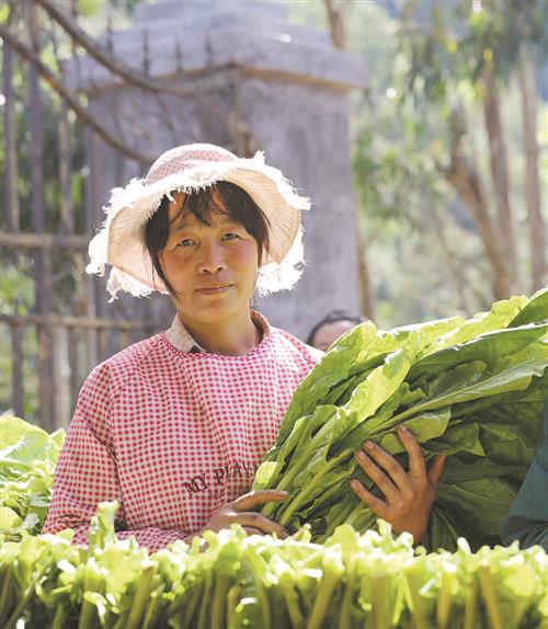 顶级国烟香烟批发厂家一手货源-全国货到付款-十年香烟微信一手代理！