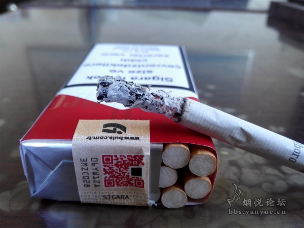 土耳其(完税版TA码)100S软红万宝路评测:味道雅润鲜爽 香气均匀自如