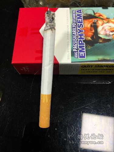 菲律宾机场免税硬红万宝路口感:入口饱满,抽吸顺畅,无杂味