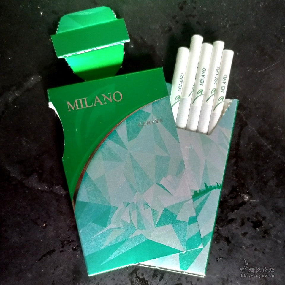 绿色薄荷米兰(MILANO)