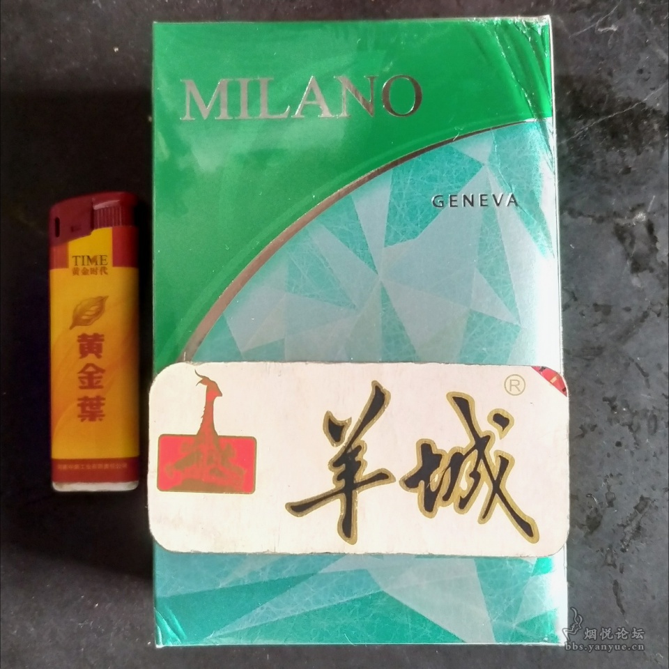 绿色薄荷米兰(MILANO)