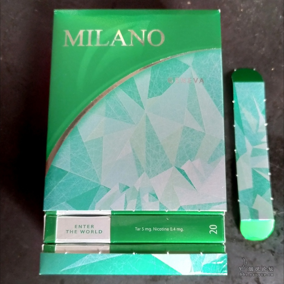 绿色薄荷米兰(MILANO)