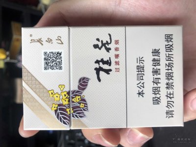 长白山（桂花）硬包烟图片