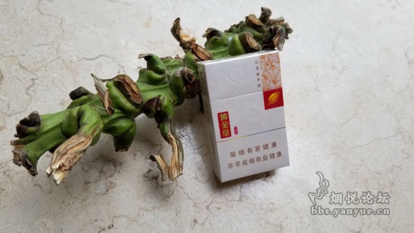 黄金叶小黄金包装口感品鉴:调香偏向自然清新 吃味饱满柔和 品吸过程比较愉悦