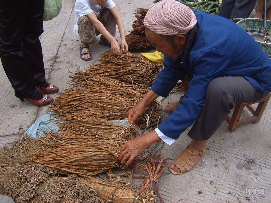 自种自裹自抽的叶子烟，被称为中国民间“雪茄”