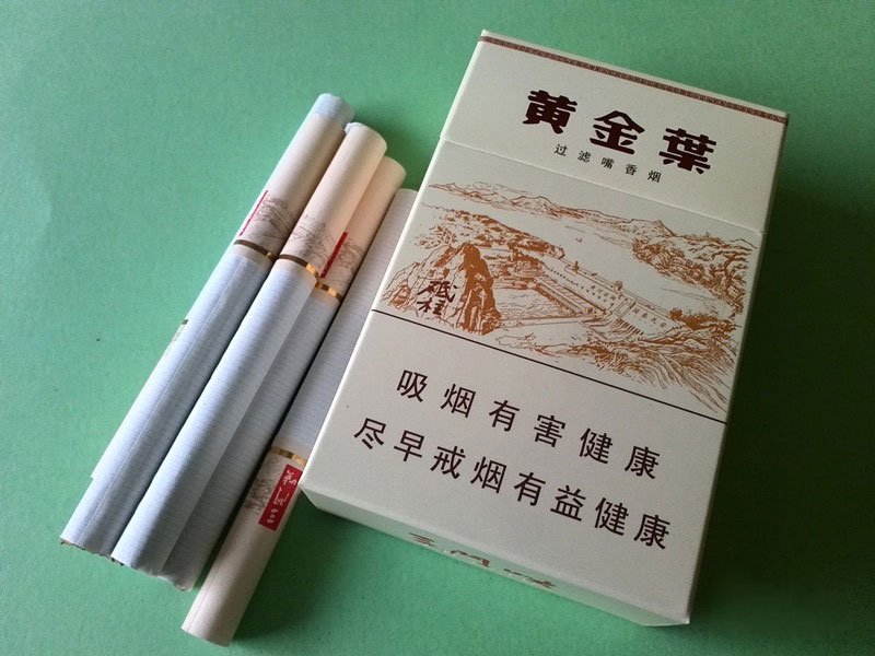 黄金叶(三门峡)