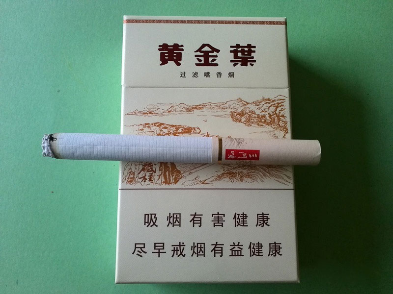 黄金叶(三门峡)