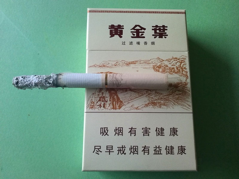 黄金叶(三门峡)