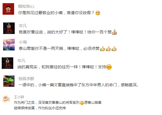 泰山(金将中支)烟民给出了怎样的评价?
