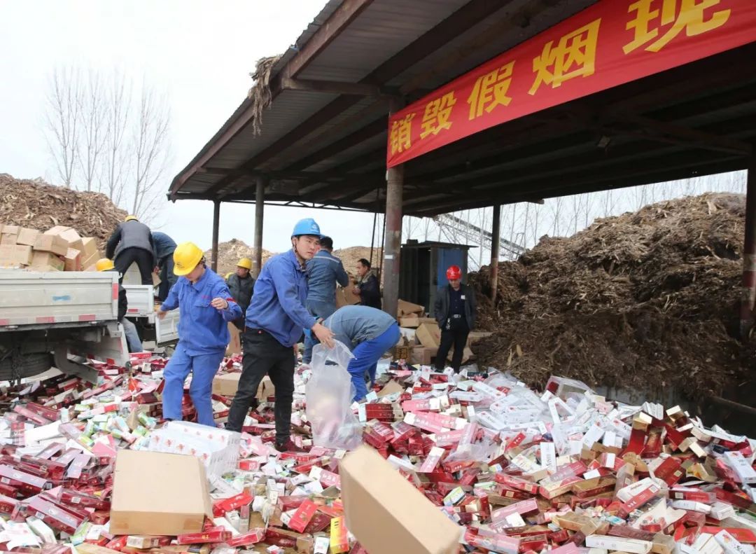 “变废为宝”饶平成吨烟草被销毁！