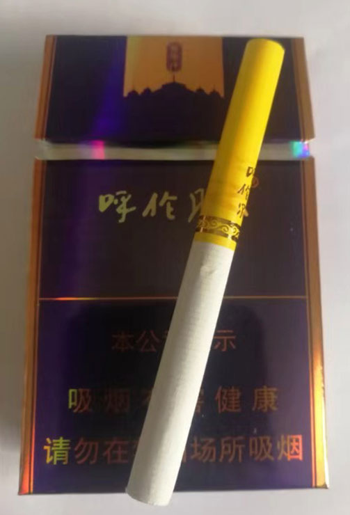 呼伦贝尔(金帐汗)