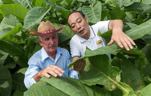 中外“茄”宾探讨主题涉及雪茄原料应用、周边产业发展和雪茄终端渠道建设等多个方面。