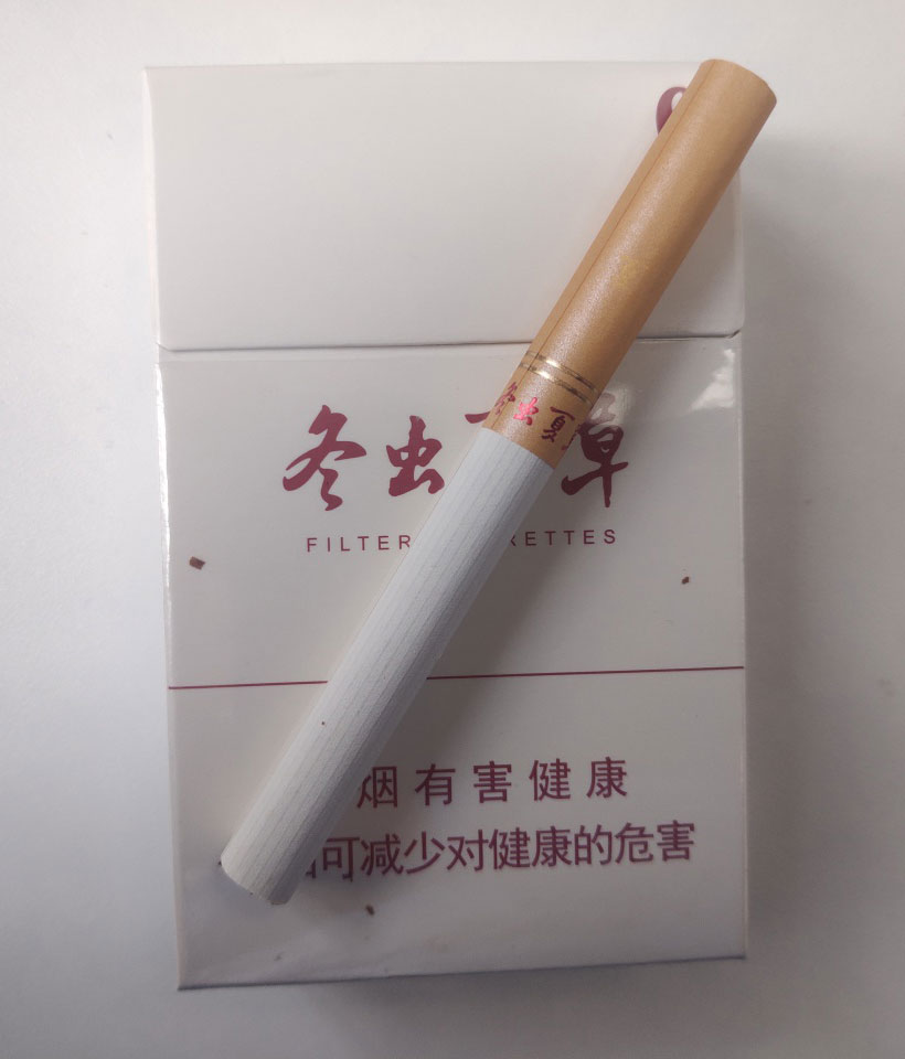 6mg冬虫夏草非卖品（图）