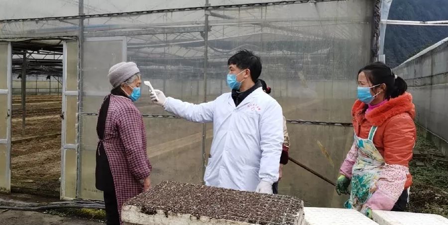 战疫不误农:贵州烟草商业积极组织推进烟叶生产各项工作