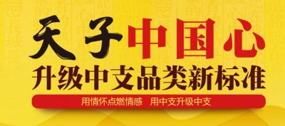 『天子』All in中支，收获市场的丰厚反馈