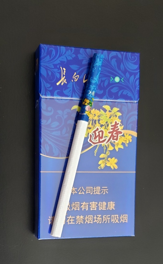 长白山迎春(蓝尚)