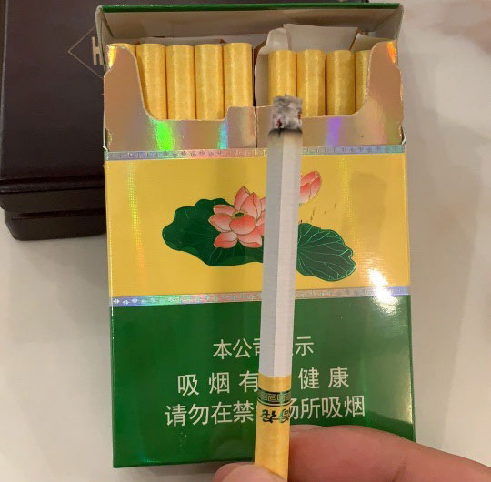 钻石(软荷花) 荷花马尔斯绿