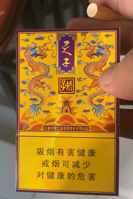 大字娇子(传奇天子)