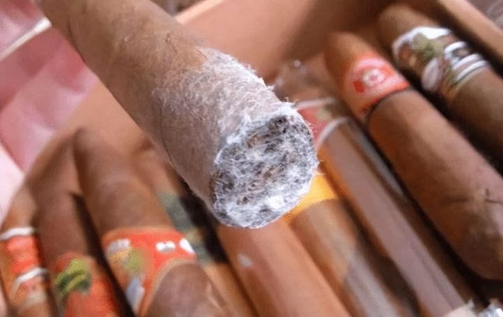 香烟为何要分硬包和软包,二者有啥区别?经常吸烟的人可以了解下-9 香烟为何要分硬包和软包,二者有啥区别?经常吸烟的人可以了解下-9