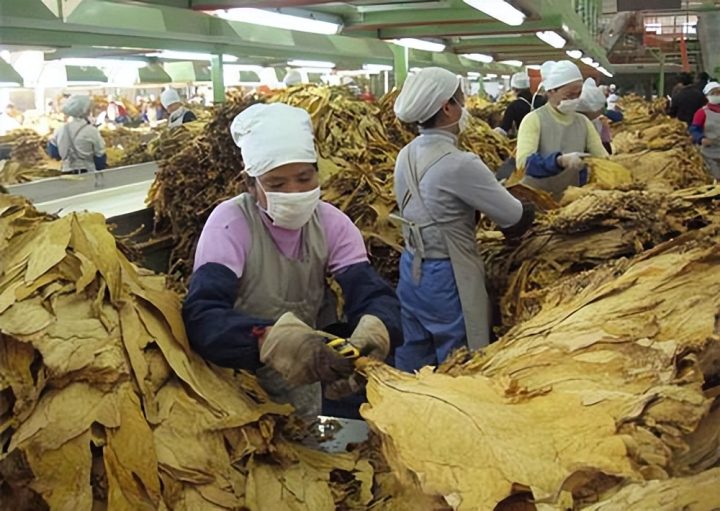 香烟为何要分硬包和软包,二者有啥区别?经常吸烟的人可以了解下-4 香烟为何要分硬包和软包,二者有啥区别?经常吸烟的人可以了解下-4