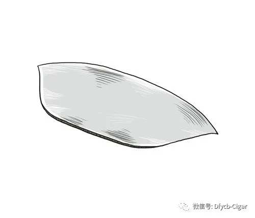 苏烟沉香怎么鉴别真假 苏烟沉香真假辨别2022 苏烟沉香怎么鉴别真假 苏烟沉香真假辨别2022
