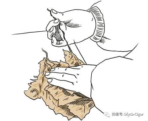 苏烟沉香怎么鉴别真假 苏烟沉香真假辨别2022 苏烟沉香怎么鉴别真假 苏烟沉香真假辨别2022