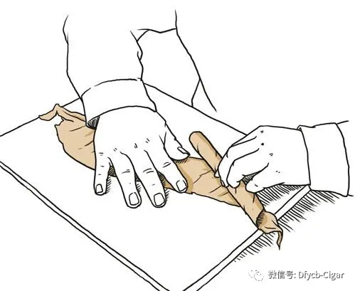 苏烟沉香怎么鉴别真假 苏烟沉香真假辨别2022 苏烟沉香怎么鉴别真假 苏烟沉香真假辨别2022