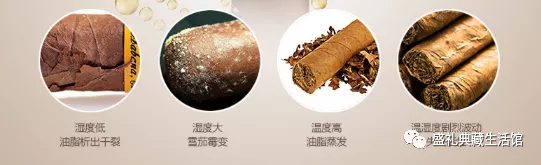 雪茄该如何养护呢？雪茄买回来怎么养