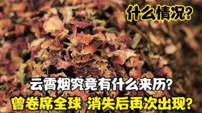 怎么在云霄网上买烟(云霄香烟官网app软件)